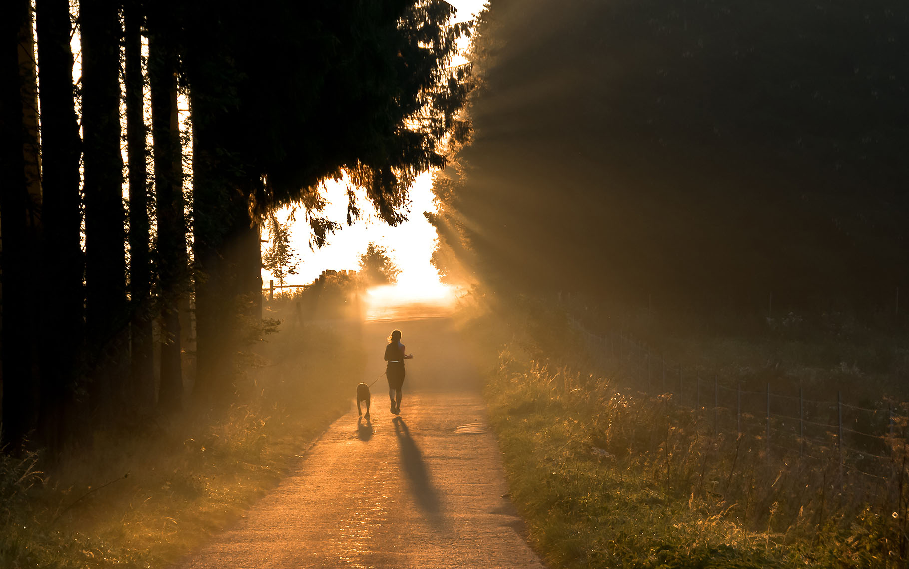 A woman running with her dog down a sunlit forest track