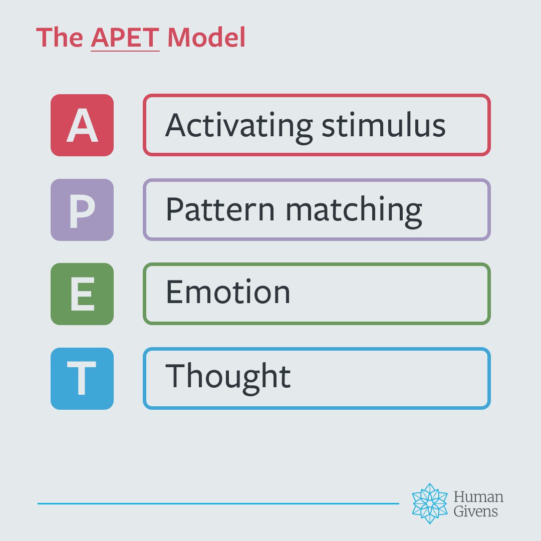 Social Media Toolkit graphic: The APET model